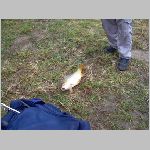 C.Lhota 3.4.2008 -39.JPG